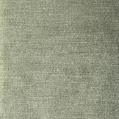 Cotton Velvet - Verdant