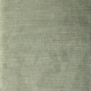Cotton Velvet - Verdant